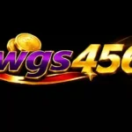 WGS456 Game